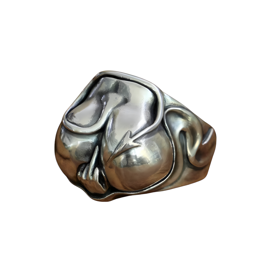 Bold Silver Ring | Cat’s Secret Freedom